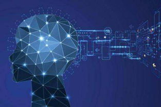 人工智能应用于医疗保健 软件开发中的潜在风险与伦理警示