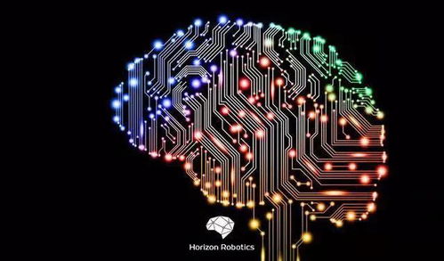 地平线背后 国内车企竞逐国产芯，人工智能应用软件开发成新蓝海